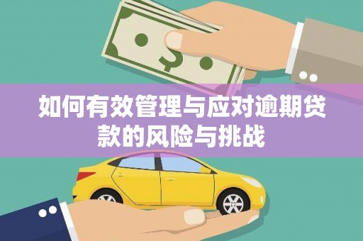 顺城如何有效管理与应对逾期贷款的风险与挑战