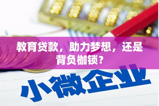 顺城教育贷款，助力梦想，还是背负枷锁？