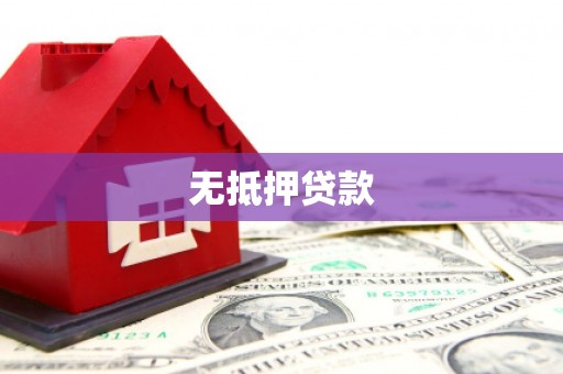 顺城无抵押贷款