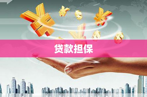 顺城贷款担保