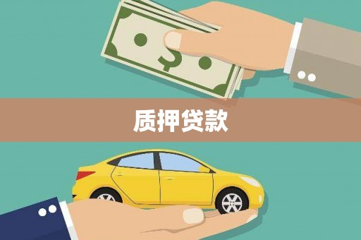 顺城质押贷款