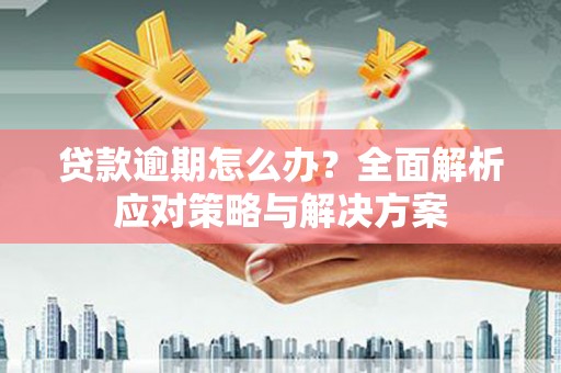 顺城贷款逾期怎么办？全面解析应对策略与解决方案