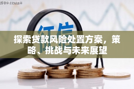 顺城探索贷款风险处置方案，策略、挑战与未来展望