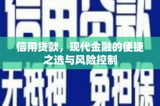 顺城信用贷款，现代金融的便捷之选与风险控制