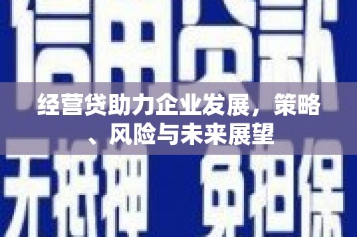 顺城经营贷助力企业发展，策略、风险与未来展望