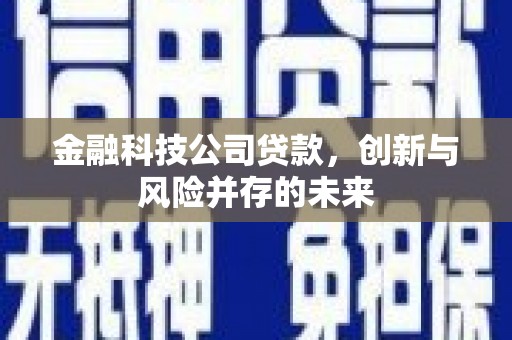 顺城金融科技公司贷款，创新与风险并存的未来