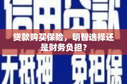 顺城贷款购买保险，明智选择还是财务负担？