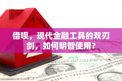 顺城借呗，现代金融工具的双刃剑，如何明智使用？