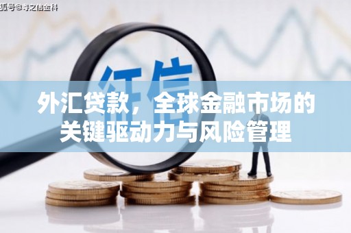 顺城外汇贷款，全球金融市场的关键驱动力与风险管理