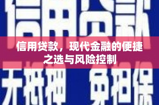 顺城信用贷款，现代金融的便捷之选与风险控制