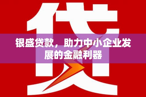 顺城银盛贷款，助力中小企业发展的金融利器
