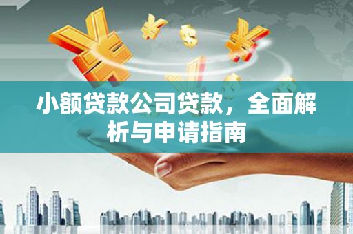 顺城小额贷款公司贷款，全面解析与申请指南