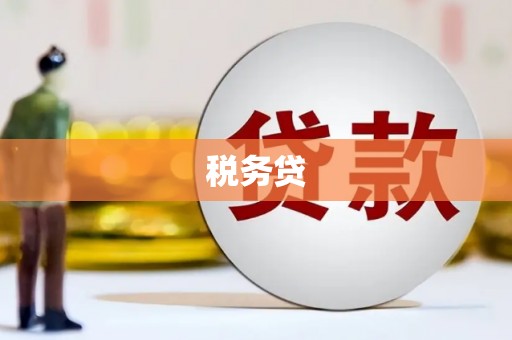 顺城税务贷