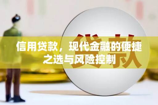 顺城信用贷款，现代金融的便捷之选与风险控制