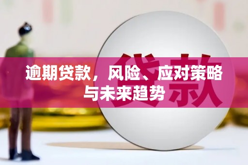 顺城逾期贷款，风险、应对策略与未来趋势