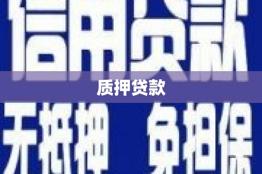 顺城质押贷款