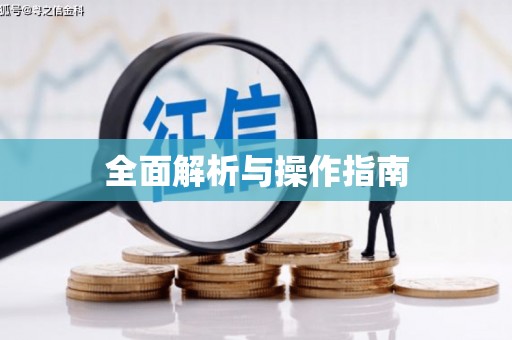 顺城全面解析与操作指南
