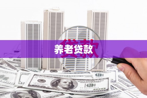 顺城养老贷款