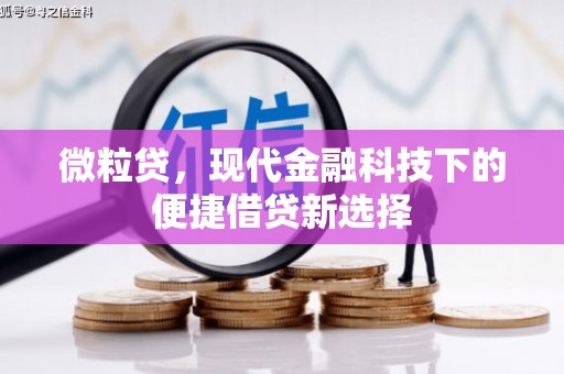 顺城微粒贷，现代金融科技下的便捷借贷新选择