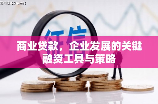 顺城商业贷款，企业发展的关键融资工具与策略