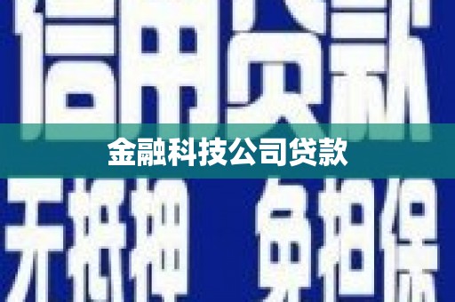 顺城金融科技公司贷款