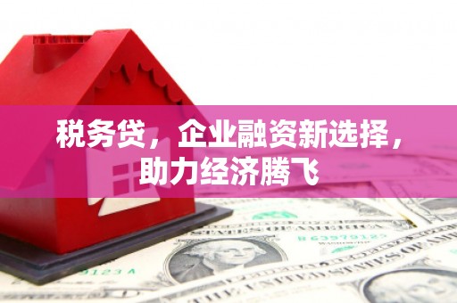 顺城税务贷，企业融资新选择，助力经济腾飞