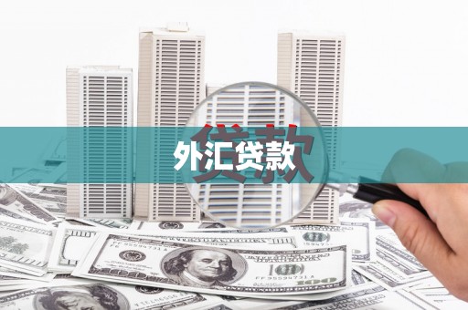 顺城外汇贷款