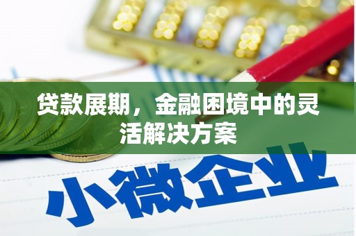 顺城贷款展期，金融困境中的灵活解决方案