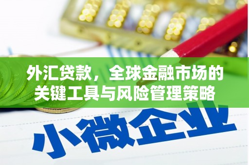 顺城外汇贷款，全球金融市场的关键工具与风险管理策略