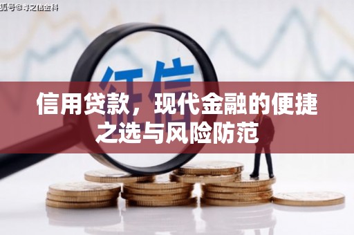 顺城信用贷款，现代金融的便捷之选与风险防范