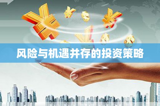 顺城风险与机遇并存的投资策略