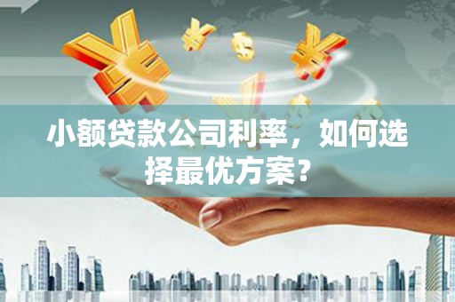 顺城小额贷款公司利率，如何选择最优方案？