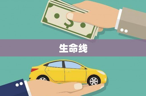顺城生命线