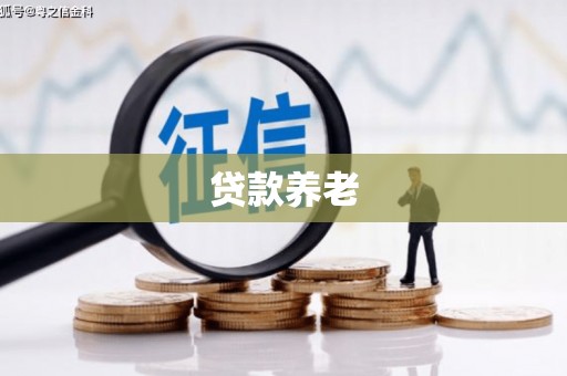 顺城贷款养老