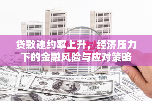 顺城贷款违约率上升，经济压力下的金融风险与应对策略