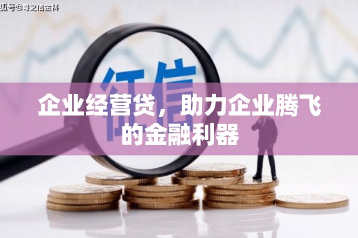 顺城企业经营贷，助力企业腾飞的金融利器
