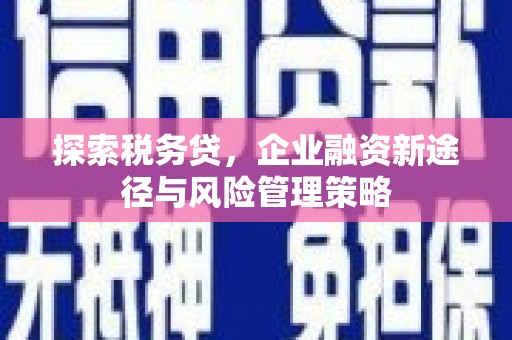 顺城探索税务贷，企业融资新途径与风险管理策略