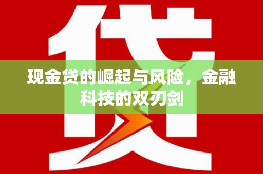 顺城现金贷的崛起与风险，金融科技的双刃剑