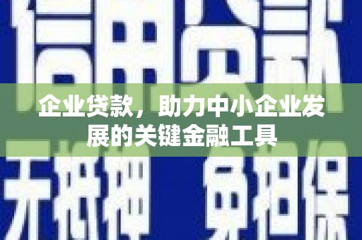 顺城企业贷款，助力中小企业发展的关键金融工具