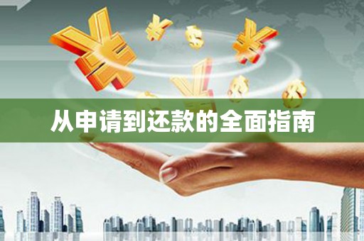 顺城从申请到还款的全面指南