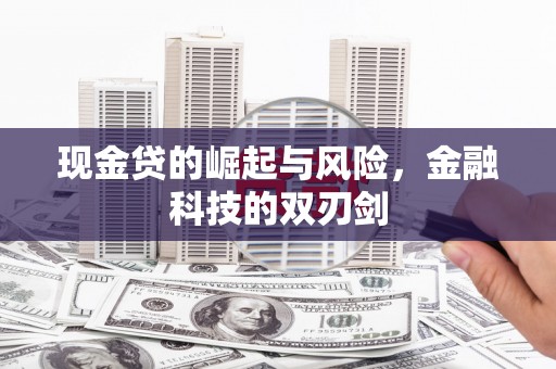 顺城现金贷的崛起与风险，金融科技的双刃剑
