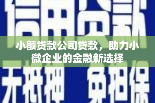 顺城小额贷款公司贷款，助力小微企业的金融新选择