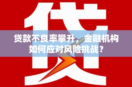 顺城贷款不良率攀升，金融机构如何应对风险挑战？