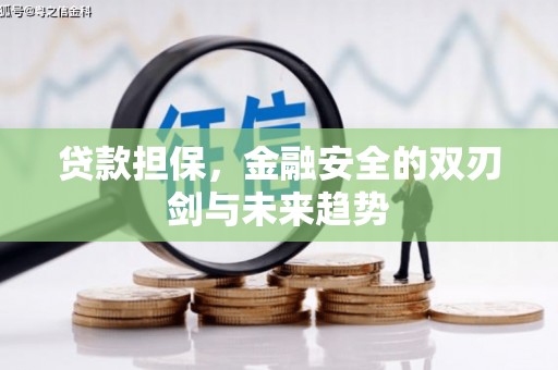 顺城贷款担保，金融安全的双刃剑与未来趋势