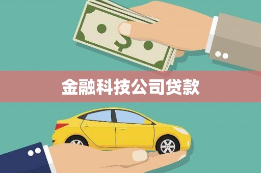 顺城金融科技公司贷款