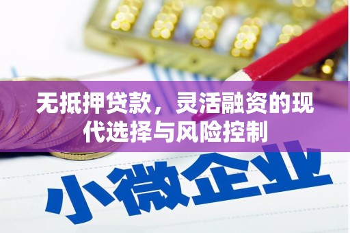 顺城无抵押贷款，灵活融资的现代选择与风险控制