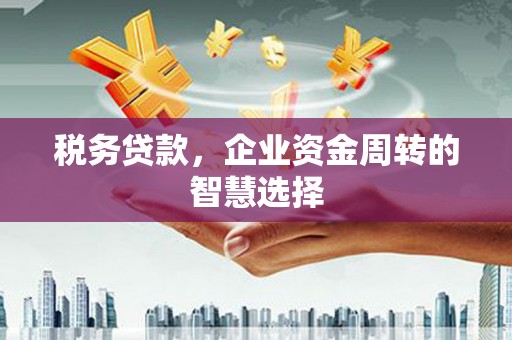 顺城税务贷款，企业资金周转的智慧选择