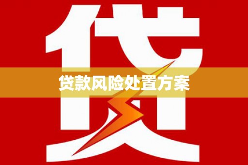 顺城贷款风险处置方案