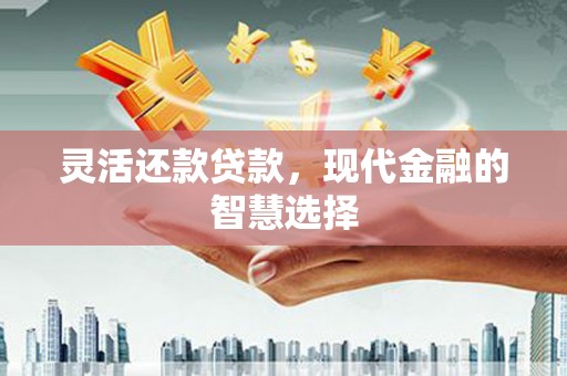 顺城灵活还款贷款，现代金融的智慧选择