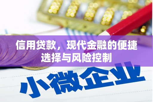 顺城信用贷款，现代金融的便捷选择与风险控制